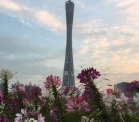 来宾广州旅游攻略(杭州到广州旅游攻略)