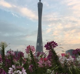 来宾广州旅游攻略(杭州到广州旅游攻略)