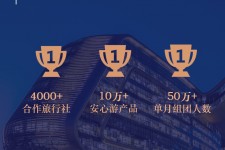来宾上海私人伴游 ​ “小而美”的新时代：2020年国内新跟团消费报告
