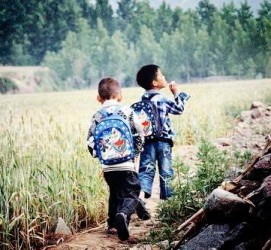 来宾河南一家四口结伴游中国2个月(河南适合一家四口旅游的地方)