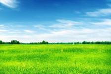 来宾上海伴游 上海模特伴游微信号的交友宣言