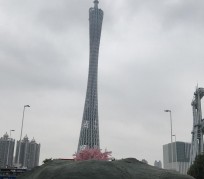 来宾广州游玩攻略(广州游玩攻略景点大全免费)