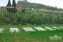 来宾昆明旅游攻略(昆明旅游攻略景点大全抚仙湖)