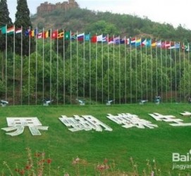 来宾昆明旅游攻略(昆明旅游攻略景点大全抚仙湖)