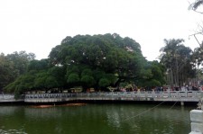 来宾福州旅游攻略(福州旅游攻略二日游)