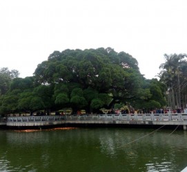 来宾福州旅游攻略(福州旅游攻略二日游)