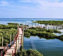 来宾旅游哪里好玩(云南旅游哪里好玩)