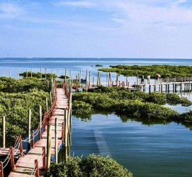 来宾旅游哪里好玩(云南旅游哪里好玩)