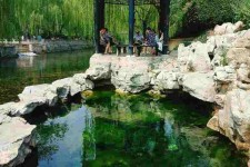 来宾济南旅游攻略(青岛威海济南旅游攻略)