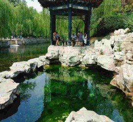 来宾济南旅游攻略(青岛威海济南旅游攻略)