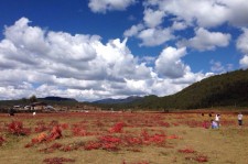 来宾旅游去处(暑期最好的旅游去处)