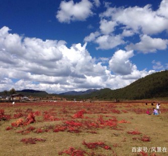 来宾旅游去处(暑期最好的旅游去处)