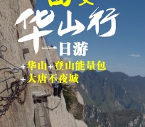 来宾一日游(一日游需要准备些什么东西?)