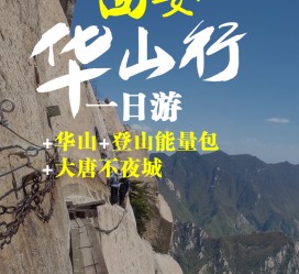 来宾一日游(一日游需要准备些什么东西?)
