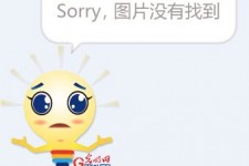 来宾选美蜜斯(世界选美蜜斯)