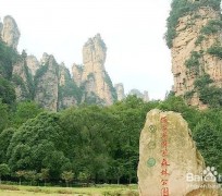 来宾自驾旅游攻略(自驾旅游攻略app排行榜)