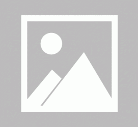 来宾私人伴游 黄金周里动“黄”经 天津又现“私人陪游”逆流