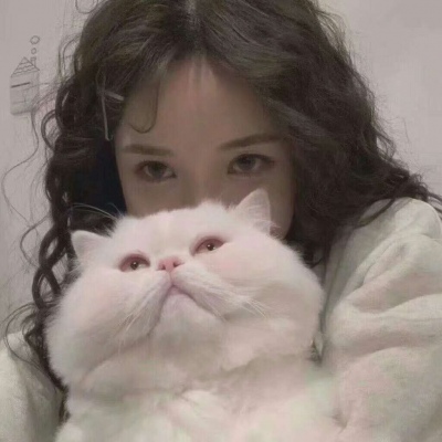 来宾伴游女生韩婉婷的资料